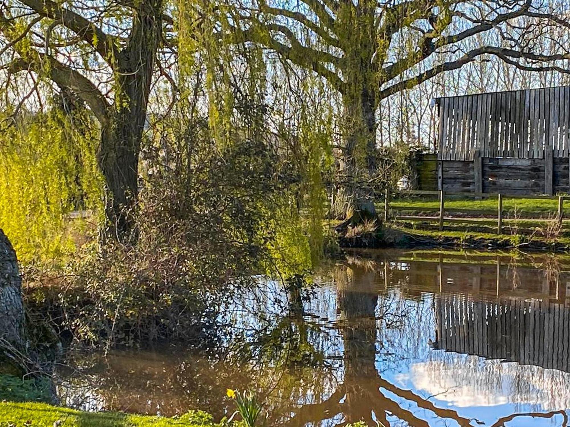 Brook House Villa Mathon Bagian luar foto